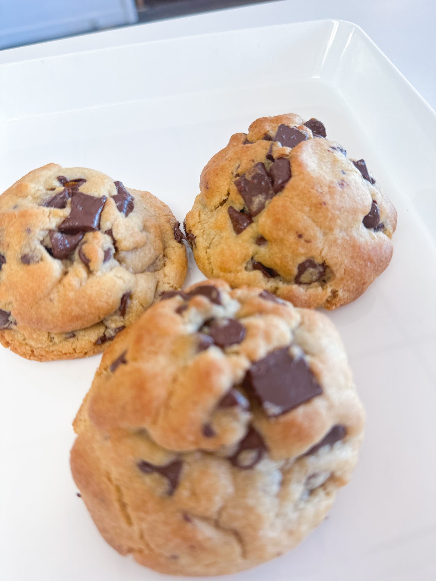 Chocolate Chip Cookie Closeup